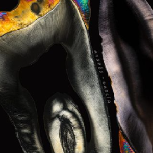 Acrílico Molar