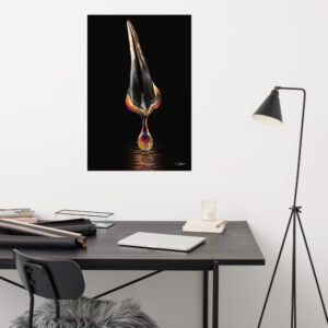 Premolar Drop Color II