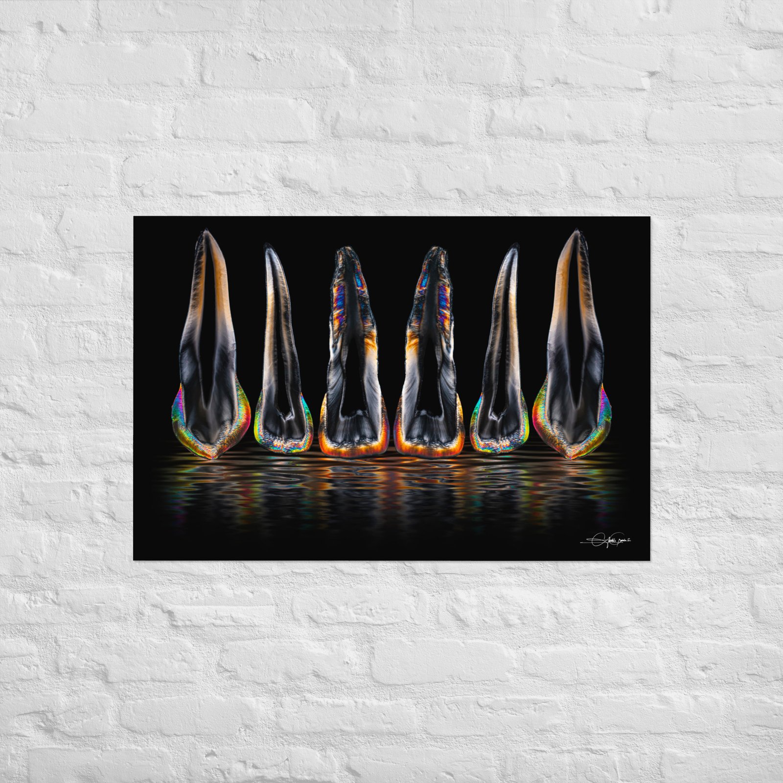 Odontología general