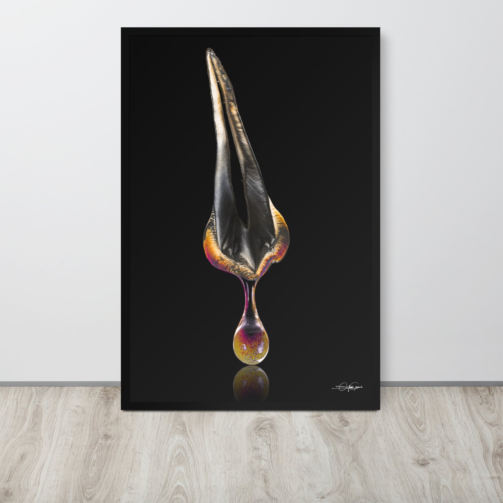 Drop color Premolar (Frame)