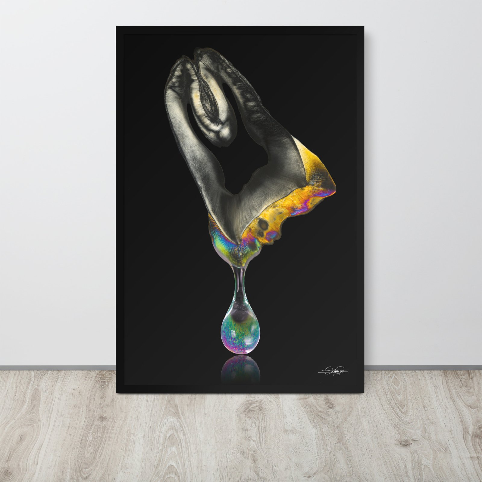 Drop color Molar (Frame)