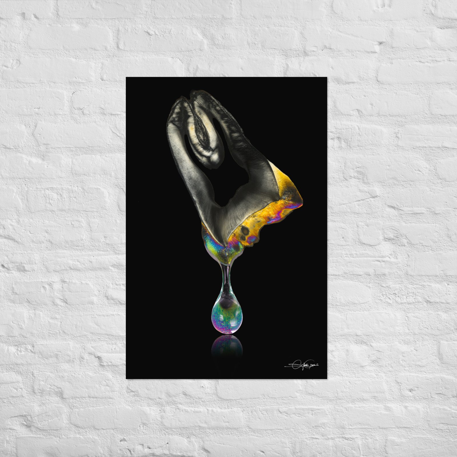 Drop color Molar