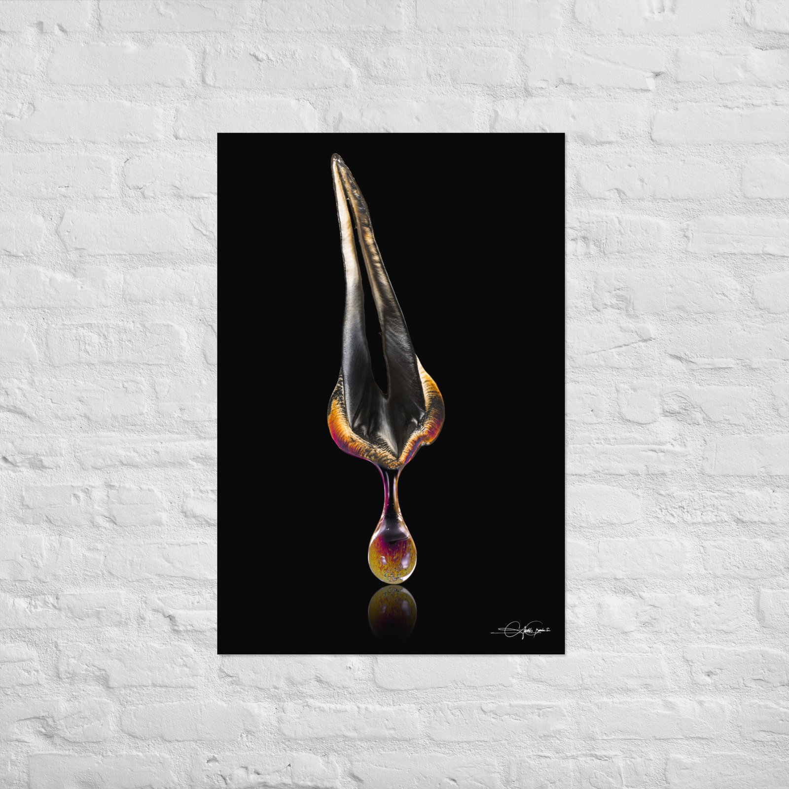 Drop color Premolar