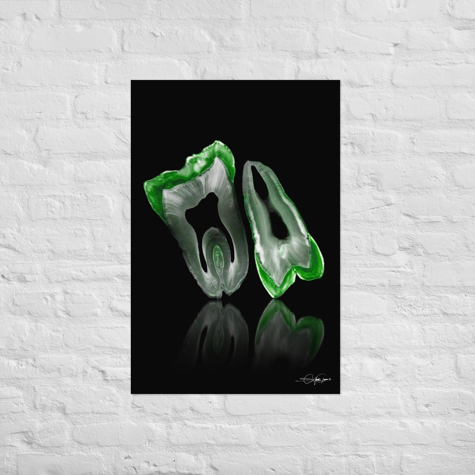 Green Molar and Premolar (limited copies)